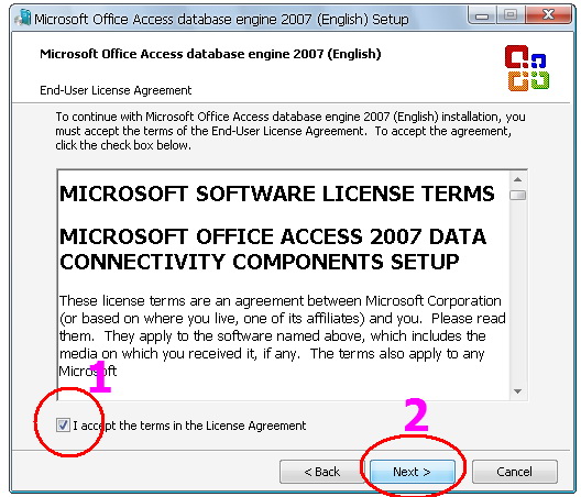 microsoft office access database engine 2007